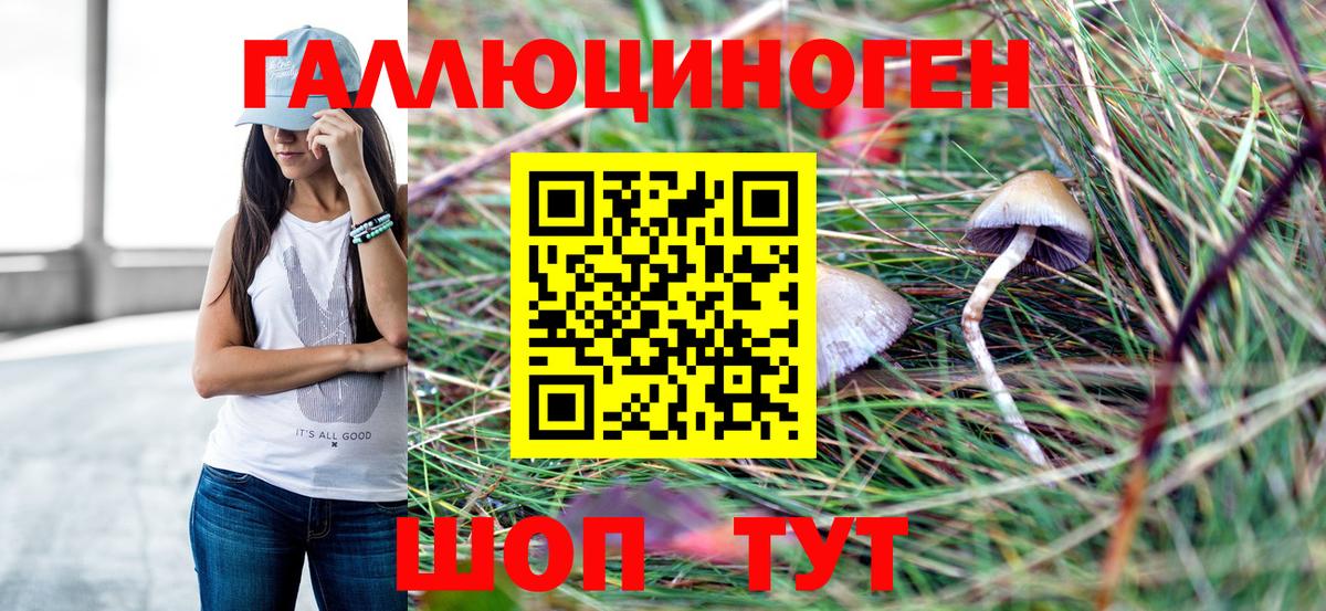 Псилоцибиновые грибы Psilocybine cubensis  магазин  наркотиков  Вход с VPN  Златоуст  Псилоцибиновые грибы ЛСД 