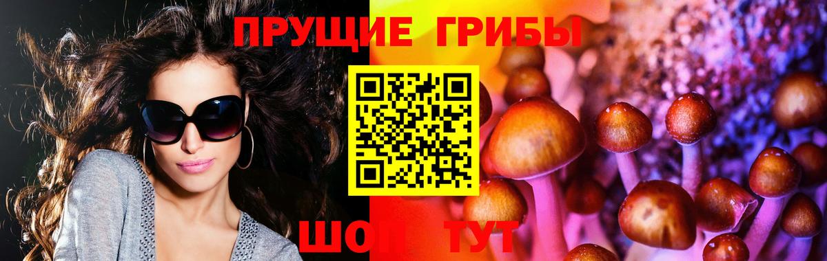 Галлюциногенные грибы Magic Shrooms Златоуст